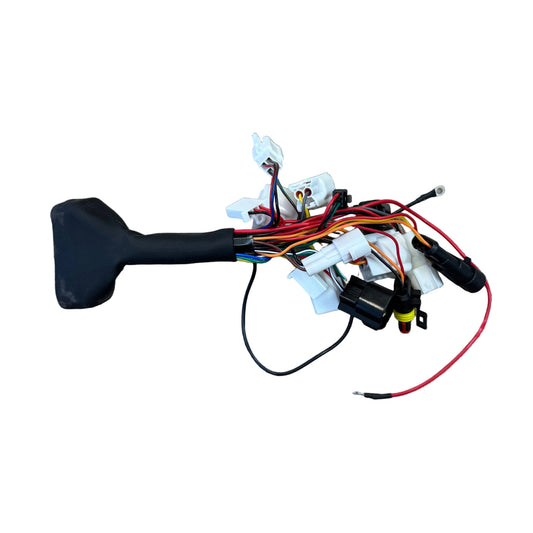 Main wiring harness compatible with Kialuk Bolt 10 and Heybike Villain